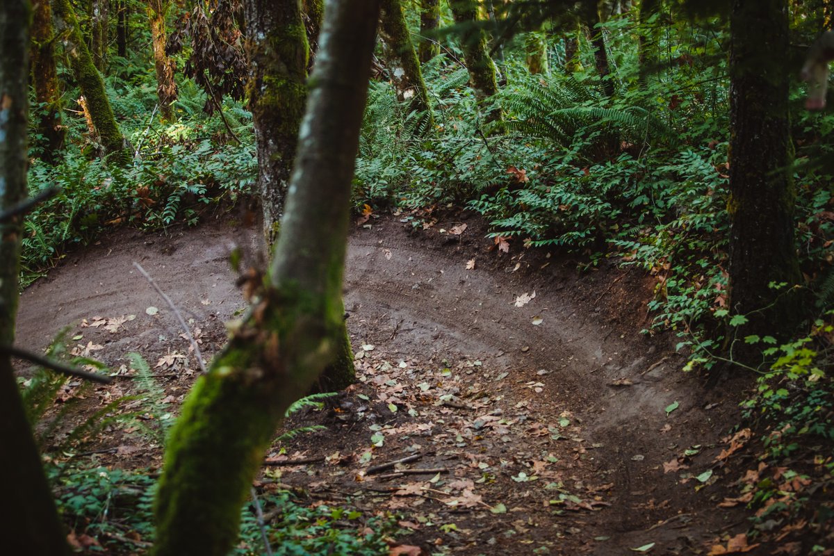 Are you a member of a local non-profit trail stewardship organization? Why or why not?