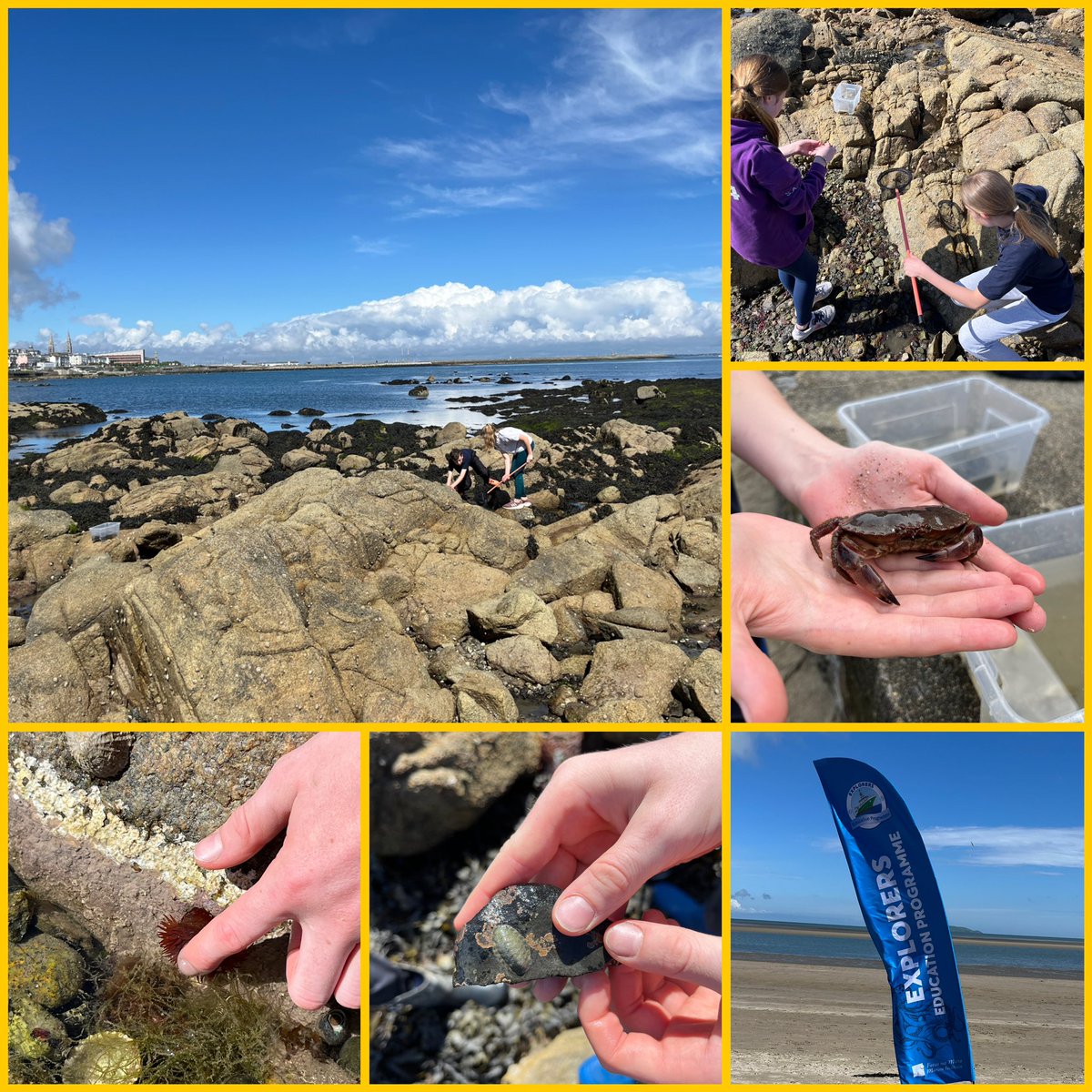 What a day for a Seashore Safari, sun and not a breath of wind☀️Rathmichael Parish NS students found so many plants and animals on Sandycove’s rocky shore, great exploring everyone👏👏 <a href="/MarineInst/">Marine Institute</a> <a href="/explorersedu/">Explorers Education Programme</a>