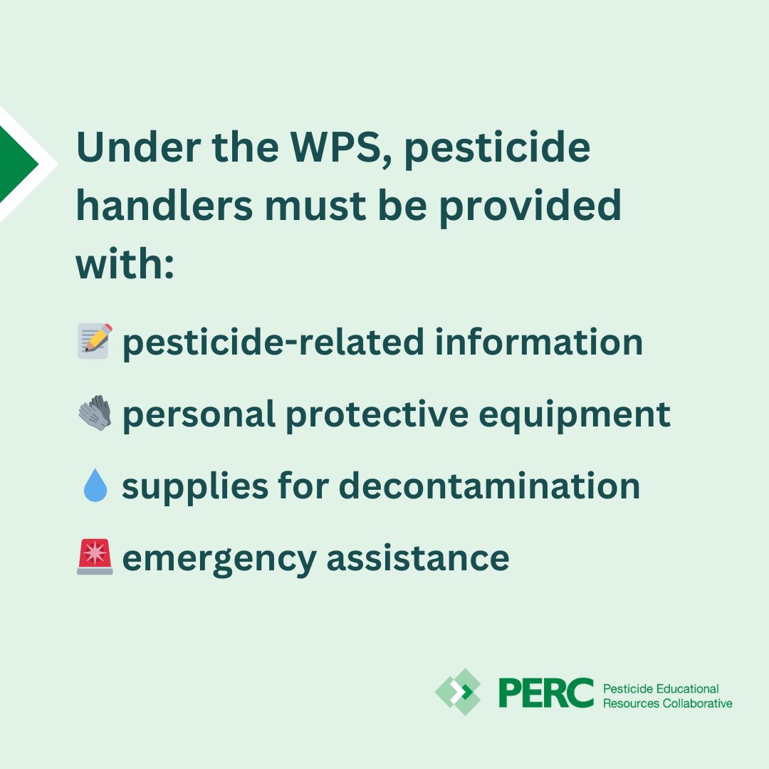 Did you know: under the Worker Protection Standard (WPS) employers must provide pesticide handlers with: 📝 pesticide-related information 🧤 personal protective equipment 💧 supplies for decontamination 🚨 emergency assistance Learn more. ➡️ bit.ly/PERChandlerPro…