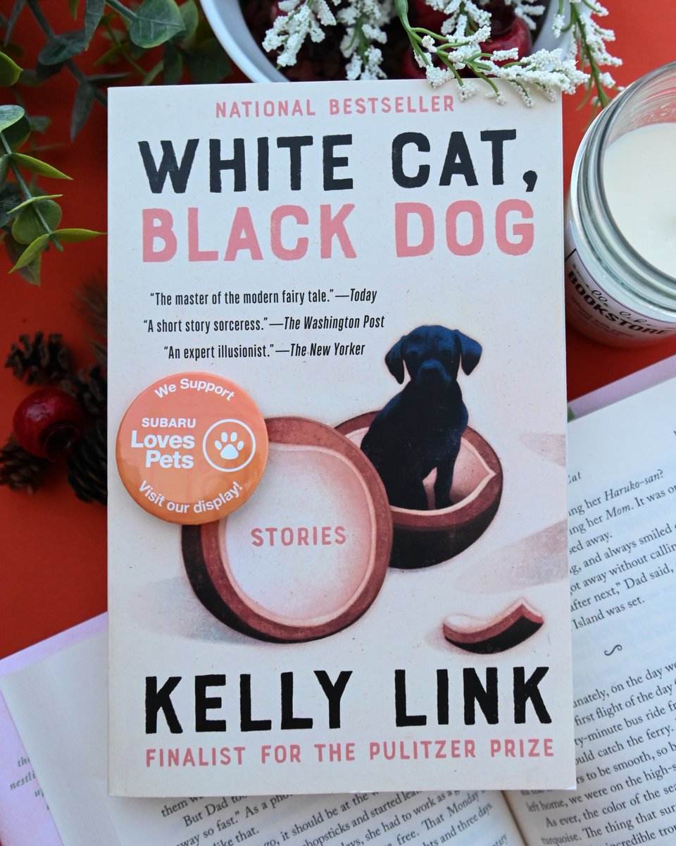 LKCreationsSC's tweet photo. Loved setting up these cat-themed book aesthetic photos 📚 https://t.co/caDLfy5Haq