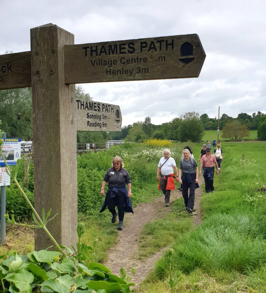 Snaps from today's #ThamesPath sociable #ReadingWalksFest hike from Reading to Shiplake admiring dragon boats & wildlife, finishing with tasty lunch at The Baskerville (too many builders for photo!) @livingreading #NationalWalkingMonth @NationalTrails @NatTrailsUK @gojauntly