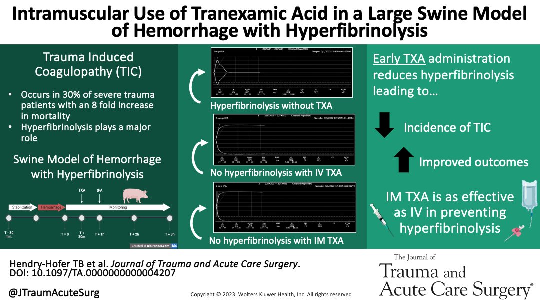 Hemorrhage accounts for 40-50% of deaths in severe trauma patients. IV administration of TXA within three hours of injury reduces mortality. In this study we show IM TXA is equally efficacious as IV in treating hyperfibrinolysis in an in vivo swine model. journals.lww.com/jtrauma/fullte…