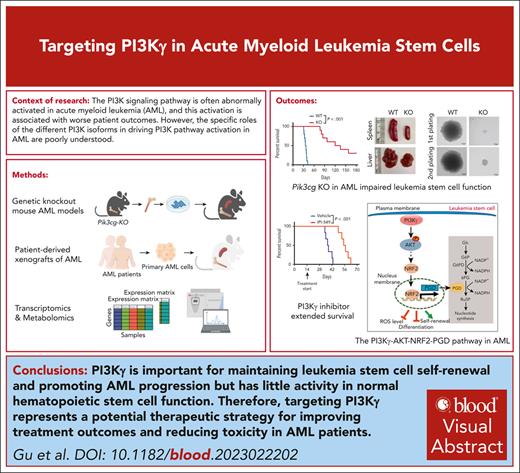 Targeting PI3Kγ represents a promising therapy that could improve outcomes and reduce toxicity compared to the current standard of care. ow.ly/rLPJ50RASpI #myeloidneoplasia #hematopoiesisandstemcells