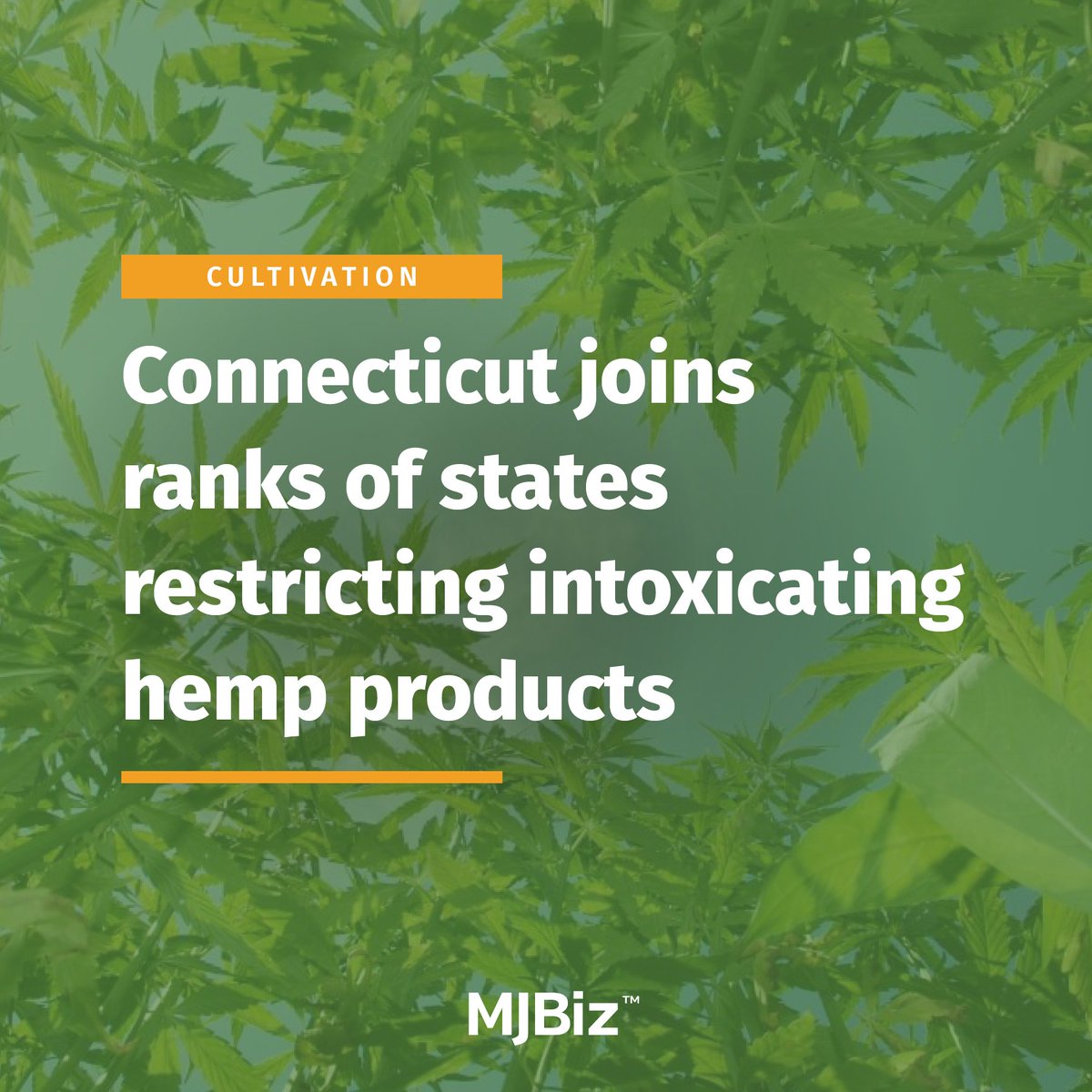 #Connecticut’s governor has signed into law a bill that will restrict and regulate #hemp products. Get the details: bit.ly/4bkiu6Q (Photo by Bits and Splits/stock.adobe.com)
