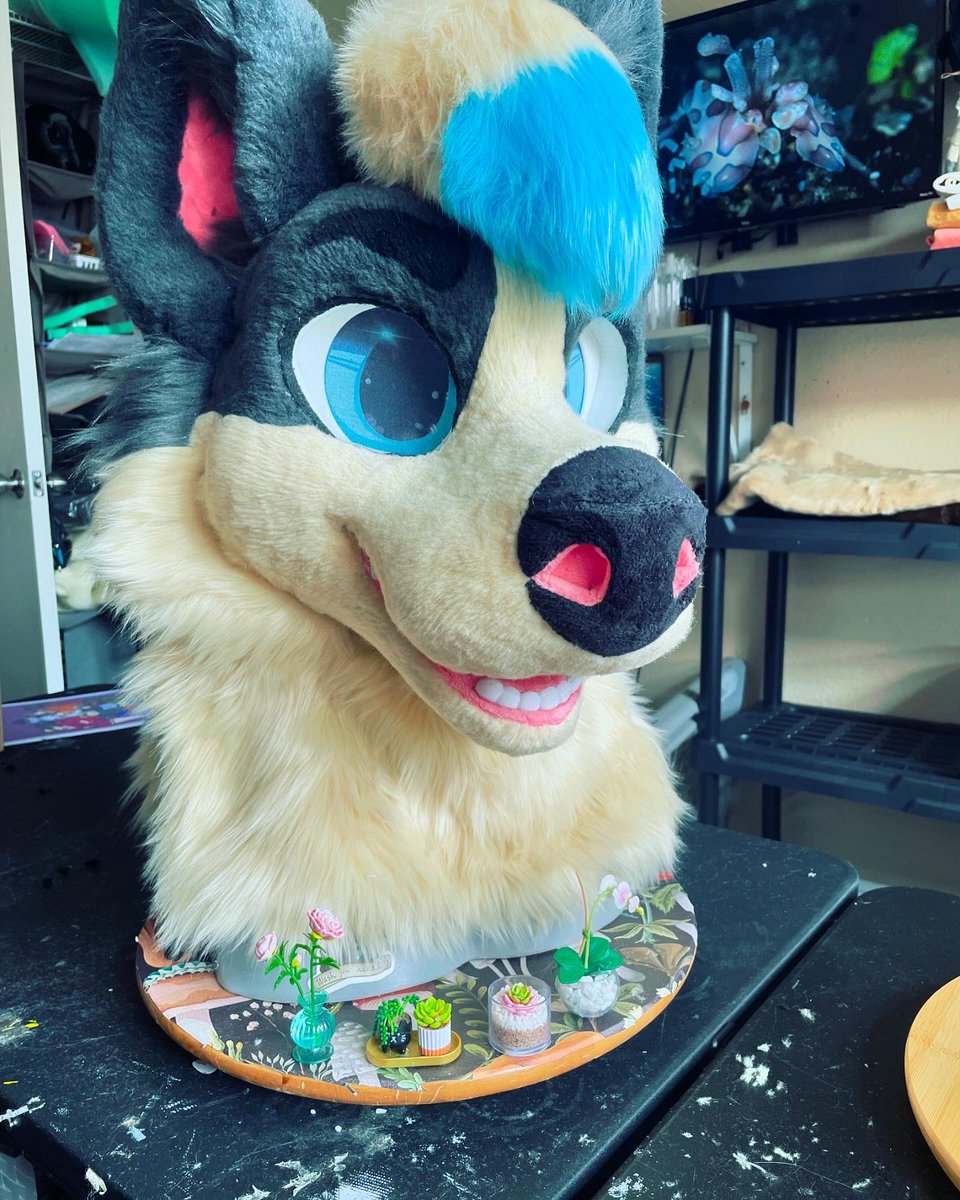 I can not believe I almost forgot to post this lad 🫠 

#fursuit #fursuitmaker #furry