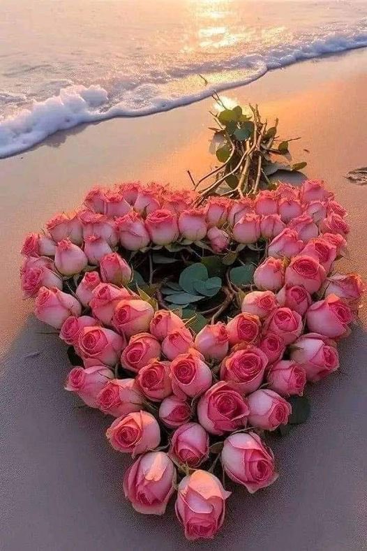 Shahid (@shd0016) on Twitter photo #FPPG
<a href="/jrilll/">༺ ĴỮŘI ༻</a>
<a href="/ijjpk/">❤</a>
<a href="/ijj08/">Cato</a>
<a href="/Lilli_fb/">Lilli for 👉💯 FB</a>
<a href="/Ghz79/">❃ 𝔾𝕙𝕒𝕫𝕒𝕝𝕒𝕙 𝕊𝕒𝕕𝕒𝕗 ❃</a>
<a href="/nor3rh/">💎Nor elrhman💎</a>
<a href="/mirl00/">Miral</a>
<a href="/1___A_1/">❤ع̷ٍش̷ُ𝓶𝔂𝓛𝓸𝓿𝓮ق̷ي❤🇸🇦 تلغي ألغي</a>
<a href="/rrjj__00/">شركه كشف تسربات المياه بالرياض كشف تسريبات</a>
<a href="/tou_fitri/">Paloma_Blanca</a>
<a href="/AW_RJP/">Abdul wahid</a>
<a href="/M_Sial6/">Maria Sial</a>
<a href="/asas118/">Asas</a>
<a href="/mrl_q20/">✨Miral✨</a>
<a href="/arimk28/">Arim</a>
<a href="/0fa0rs0/">فارس</a>
<a href="/Mone_fb/">🅰️ 🇩🇪 🔥 𝐒𝐔𝐒𝐈 🇩🇪 🅰️ Follow Back💯💯💯</a>
@ho88_sh
<a href="/Rm7866/">Riaz Khan</a>
<a href="/homyian/">حامد حميان (Hamed Homyian)</a>
<a href="/shd0016/">Shahid</a>
<a href="/binzood1/">غانمـ</a>
<a href="/Sairakh_1/">Sairah</a>
<a href="/Dr_abeer8/">عبير80K Abeer</a>
<a href="/zksali_786/">MOH🅰️MMAD❣️ZEESHAN.🅰️HMED</a>
<a href="/BeerAdel2/">🇦🇹 Beer Adel🇦🇹</a>
<a href="/Alaayous3/">alaa amy</a>
<a href="/zahrat_lotas/">❤️S.zahra❤️</a>
@m32436706 #FPPG
<a href="/jrilll/">༺ ĴỮŘI ༻</a>
<a href="/ijjpk/">❤</a>
<a href="/ijj08/">Cato</a>
<a href="/Lilli_fb/">Lilli for 👉💯 FB</a>
<a href="/Ghz79/">❃ 𝔾𝕙𝕒𝕫𝕒𝕝𝕒𝕙 𝕊𝕒𝕕𝕒𝕗 ❃</a>
<a href="/nor3rh/">💎Nor elrhman💎</a>
<a href="/mirl00/">Miral</a>
<a href="/1___A_1/">❤ع̷ٍش̷ُ𝓶𝔂𝓛𝓸𝓿𝓮ق̷ي❤🇸🇦 تلغي ألغي</a>
<a href="/rrjj__00/">شركه كشف تسربات المياه بالرياض كشف تسريبات</a>
<a href="/tou_fitri/">Paloma_Blanca</a>
<a href="/AW_RJP/">Abdul wahid</a>
<a href="/M_Sial6/">Maria Sial</a>
<a href="/asas118/">Asas</a>
<a href="/mrl_q20/">✨Miral✨</a>
<a href="/arimk28/">Arim</a>
<a href="/0fa0rs0/">فارس</a>
<a href="/Mone_fb/">🅰️ 🇩🇪 🔥 𝐒𝐔𝐒𝐈 🇩🇪 🅰️ Follow Back💯💯💯</a>
@ho88_sh
<a href="/Rm7866/">Riaz Khan</a>
<a href="/homyian/">حامد حميان (Hamed Homyian)</a>
<a href="/shd0016/">Shahid</a>
<a href="/binzood1/">غانمـ</a>
<a href="/Sairakh_1/">Sairah</a>
<a href="/Dr_abeer8/">عبير80K Abeer</a>
<a href="/zksali_786/">MOH🅰️MMAD❣️ZEESHAN.🅰️HMED</a>
<a href="/BeerAdel2/">🇦🇹 Beer Adel🇦🇹</a>
<a href="/Alaayous3/">alaa amy</a>
<a href="/zahrat_lotas/">❤️S.zahra❤️</a>
@m32436706