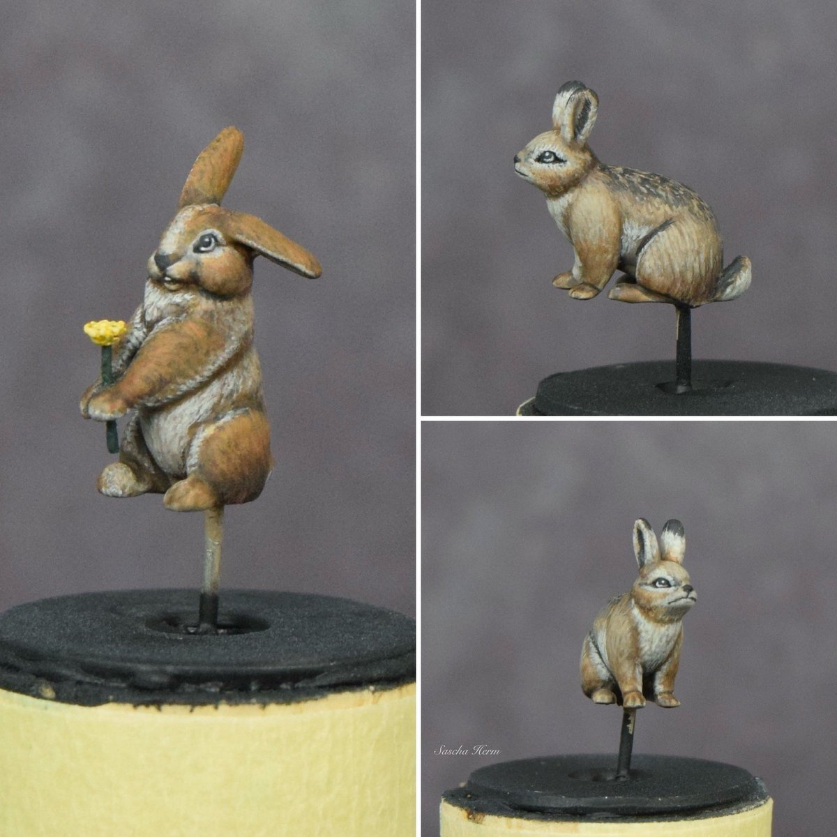 Just finished painting a few rabbits 🤗🌼

(Size 15x5mm)

#WarhammerCommunity #Paintingminiatures