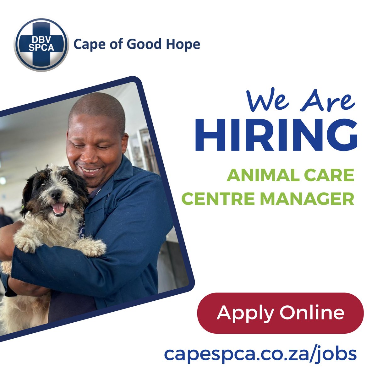 🚨 Join Our Team as an Animal Care Centre Manager at Cape of Good Hope SPCA! 🚨 See full job description here 👇 capespca.co.za/jobs/ #SPCAJobs #CapeSPCAHiring #CapeSPCA #WorkForImpact #CapeTown #GrassyPark #AnimalCareCentreManager #AnimalRescue #AnimalProtection