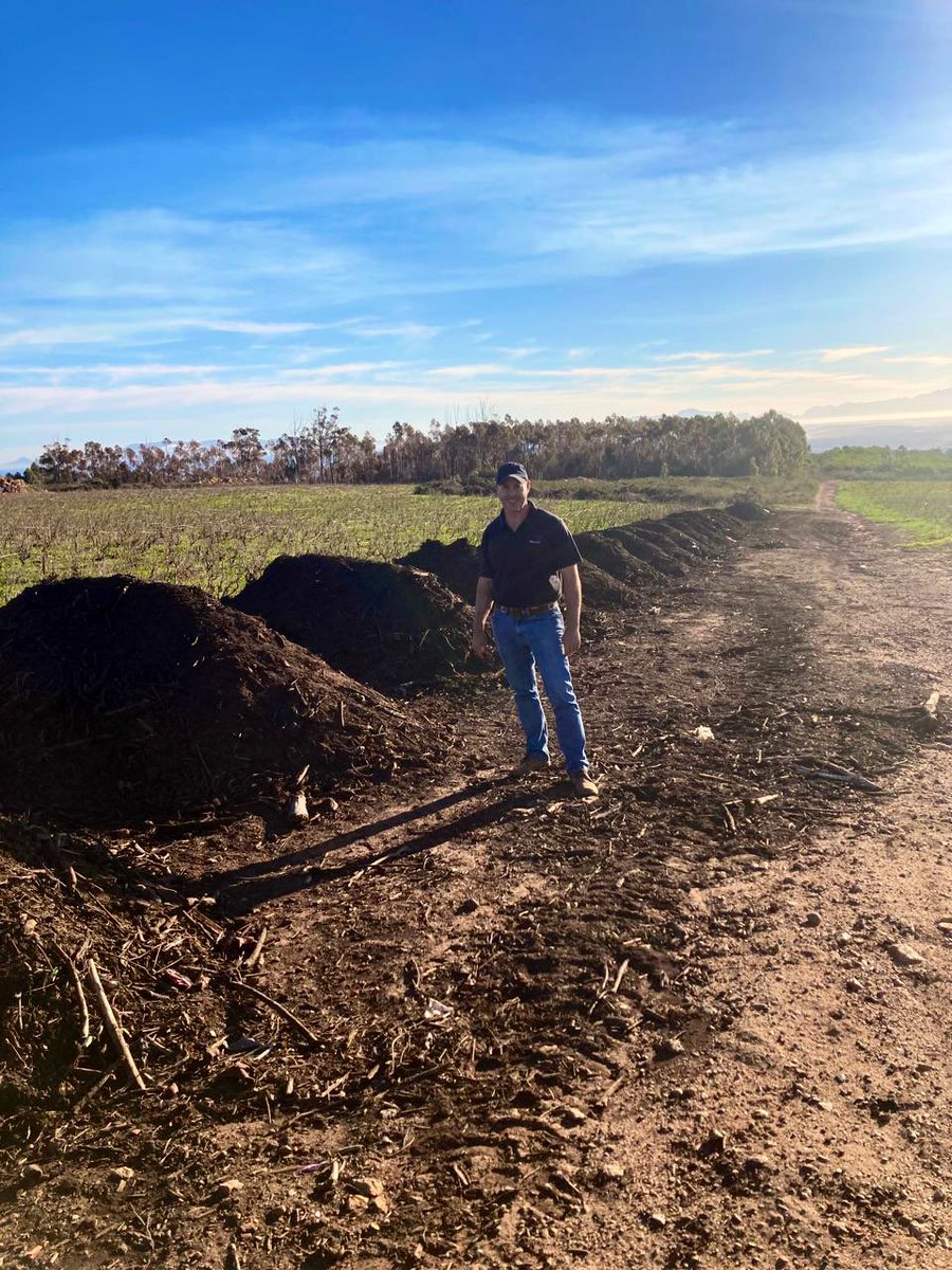 One happy farmer hanging out with some of his best buddies @WaterkloofWines #compost #wine #farming #regenerativeagriculture