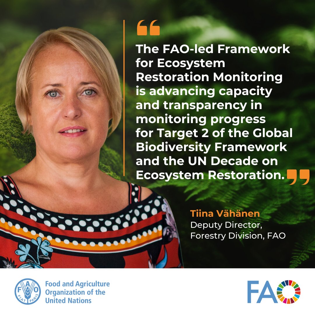 The Framework for Ecosystem Restoration Monitoring (FERM) is advancing capacity & transparency for Global Biodiversity Framework Target 2 & the UN Decade on Ecosystem Restoration, @FAO’s Tiina Vähänen tells #SBSTTA26 side event #GenerationRestoration @UNBiodiversity @UNEP
