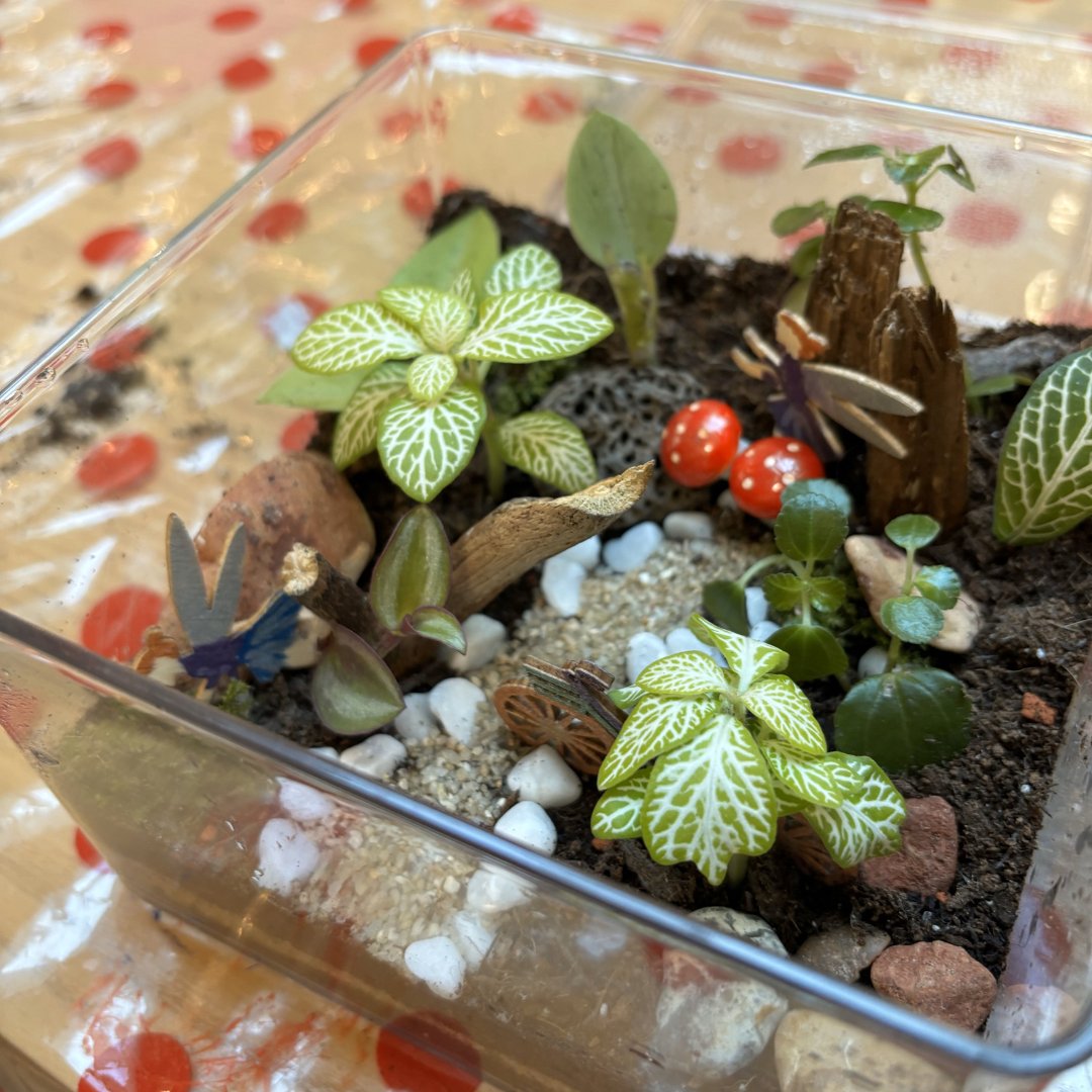 Keech Hospice Care Bedford want to say a HUGE thank you to @MiltonErnestGC for providing us with the discounted materials to help 15 patients create their own terrarium to take home💜💙