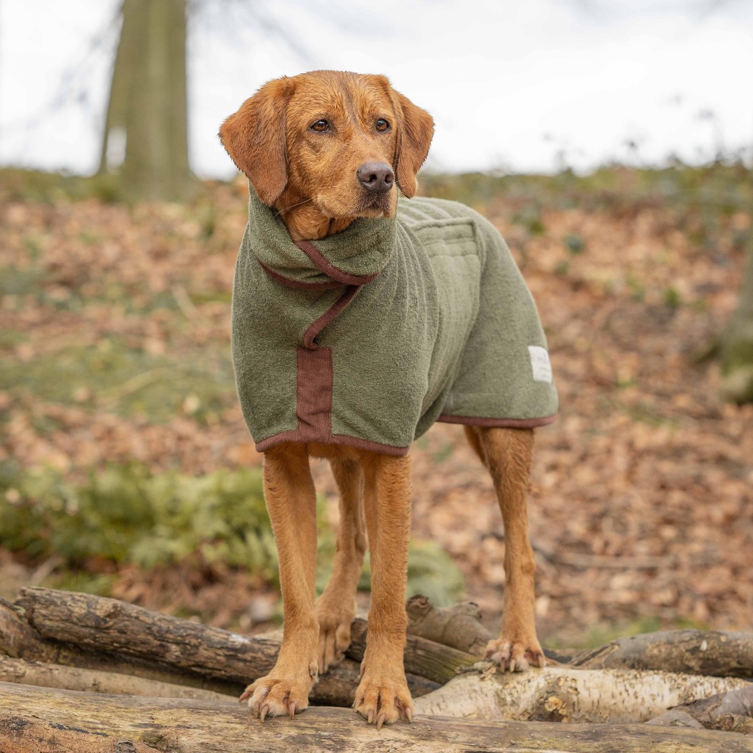 Wet dog again? We can dry it! The original and best Drying Coat - the simple solution to rainy days and damp dogs. SHOP MOSS: ruffandtumbledogcoats.com/collections/do… #ruffandtumble #dryingcoats #bestdryingcoats #dogdrying #dogwet #dogcold #colddogs #wetdogs #smellydogs s
