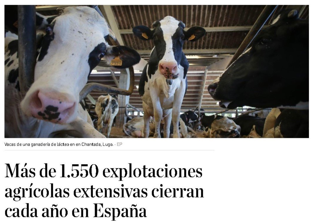 Más de 1.550 explotaciones agrícolas extensivas cierran anualmente en España. COAG aboga por un modelo que promueva una ganadería con ganaderos para evitar el control de grandes empresas y fondos de inversión. Lo pagaremos caro, comeremos 💩
