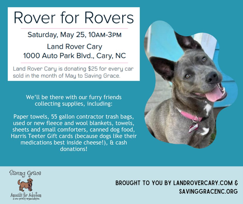 @jaguarrovercary and @SavingGraceNC are teaming up to help adoptable dogs find homes. Come love on these beautiful pets that will be here in the showroom, and enjoy refreshments on us! #SGEvent  #adoptabledogs #teamtogether #landrover