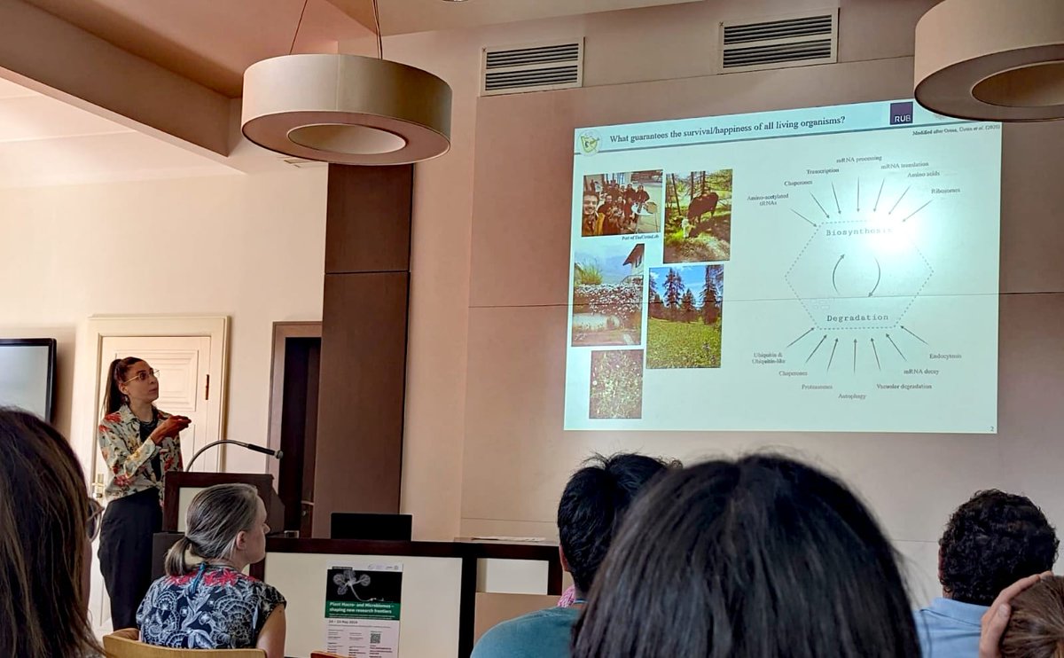 Great presentation from our @SuayibUestuen's lab own @MargotRaffeiner at the @COSHeidelberg-EMBL workshop!👩‍🔬 Exciting new work on a potential new regulator of the plant proteotoxic stress response 🌿
