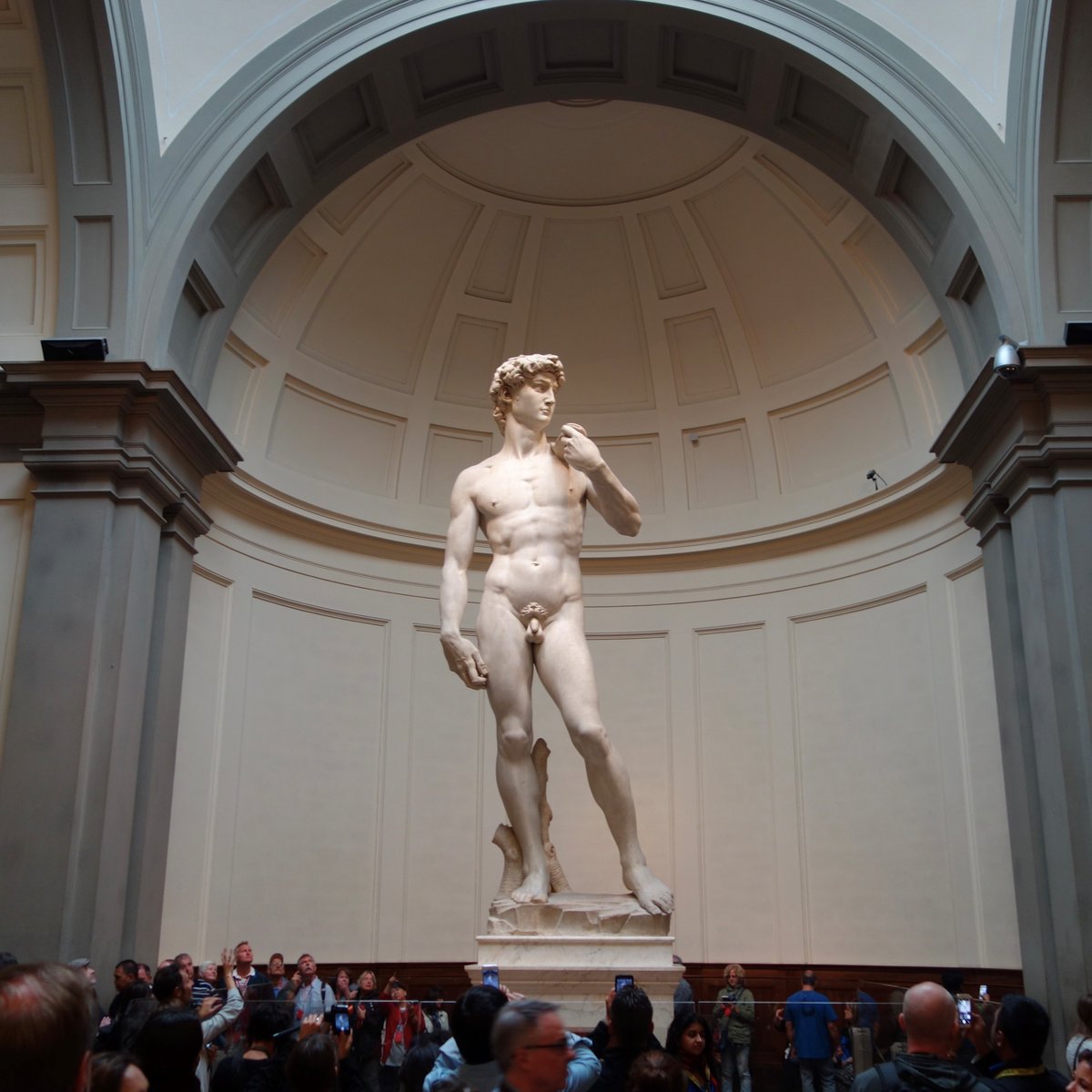 Florence is Europe’s cultural capital. Here, you can look Michelangelo's David in the eyes, fall under the seductive sway of Botticelli's Birth of Venus, and climb the modern world's first dome. Oh, and it has Italy's best gelato. ricksteves.com/europe/italy/f…