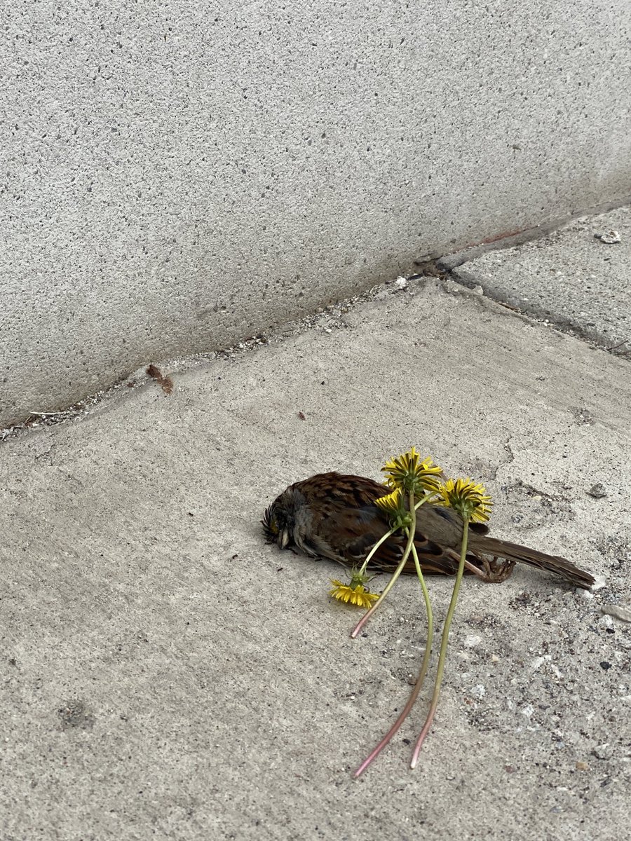 Stasha Lysyk tweet media