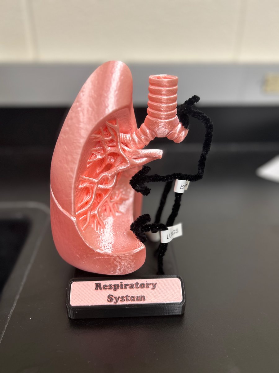 Juan Delgado (@delgadoscience) on Twitter photo Giving students the freedom to prove that their learning goes much further than using a paper and pencil 💫🪐 <a href="/NISDStraus/">Joe Straus III Middle School</a> Giving students the freedom to prove that their learning goes much further than using a paper and pencil 💫🪐 <a href="/NISDStraus/">Joe Straus III Middle School</a>