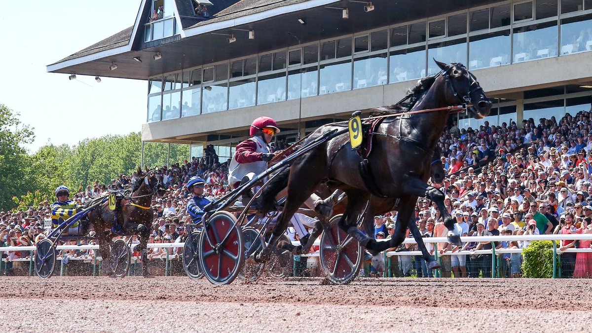 #Trot 8 ans (déjà 😱) après son père #BirdParker 💙💛, IZOARD VEDAQUAIS ♥️ tentera le doublé…

DUCS ~ HARPER @Solvalla 

Bird abaissait le record à 1.12,1. Il affiche désormais 1.11,9. 

Sera-t-on + rapide en 2024 ?