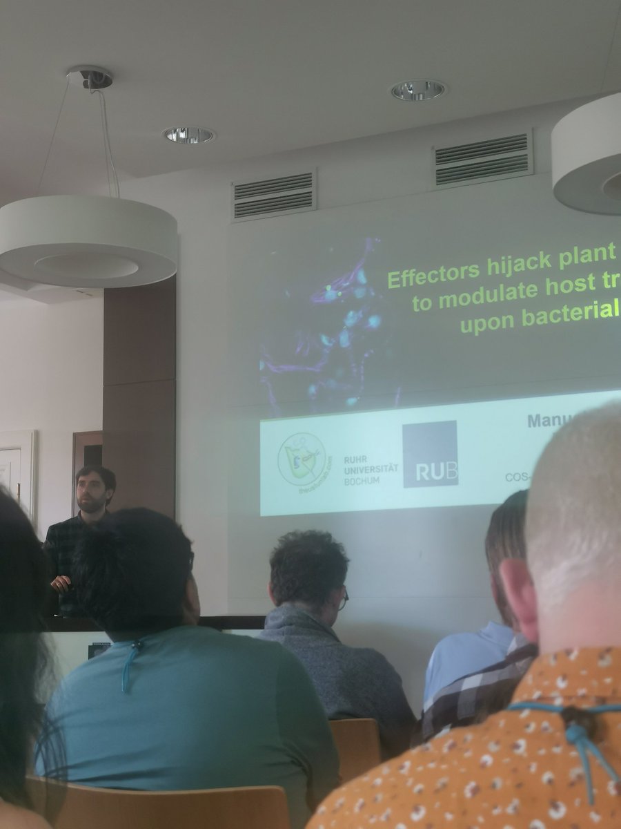 Enthusiastic presentation at the @COSHeidelberg - EMBL workshop by @manugonfu from the @SuayibUestuen Lab, giving us some exciting insights into modulation of host translation by phytopathogens! 🦠🌱