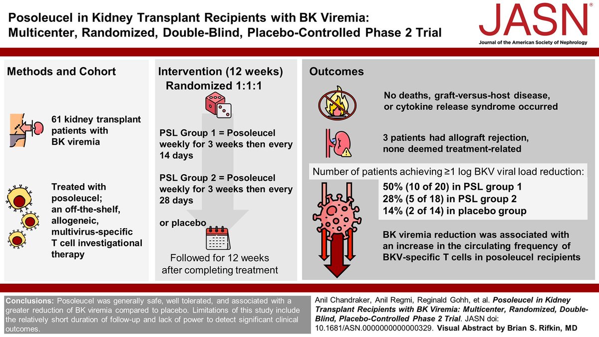 Kidney transplant recipients with BK virus infection are at risk of developing BK virus–associated nephropathy. This study found posoleucel was generally safe and linked to a larger reduction of BK viremia bit.ly/JASN0329 @TransplantPulse @D_M_Dadhania @Dr_Faravardeh