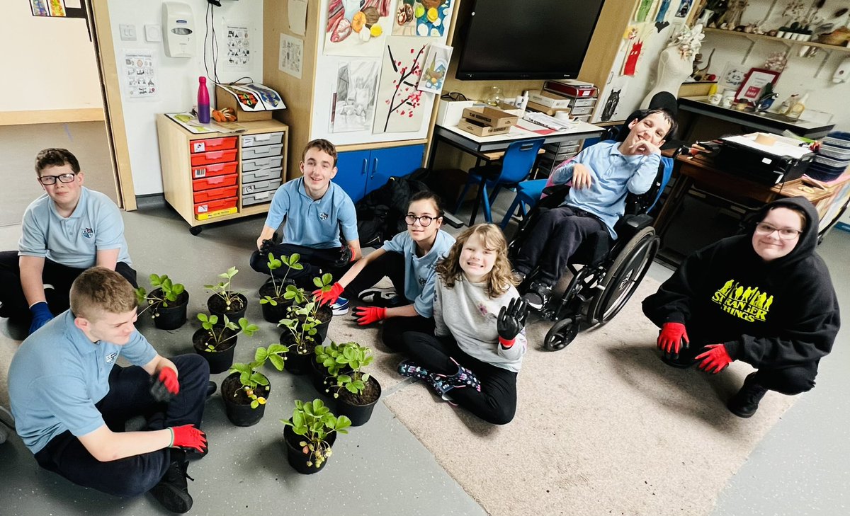 Well done @Kilpatrickscho1 After-School Gardening Club! In spite of the rain🌧️☔️we managed to pot up the Strawberry🍓plants and put them in the greenhouse. Thank you Mrs McMurdo for all our young plants 🍅🥒🍓🍎🍐🍒#Sustainability #nurturingpotentialtogether