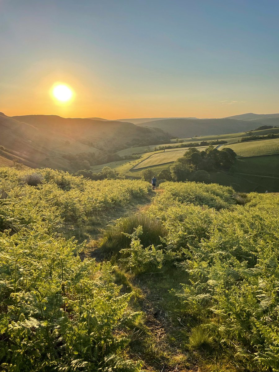 Those long summer evenings spent on the hills, when you’re the last ones heading back down for the day. Heaven!! 💛💚

#peakdistrict #peakdistrictphotography #nature #sunset #countryside #hikingadventures
