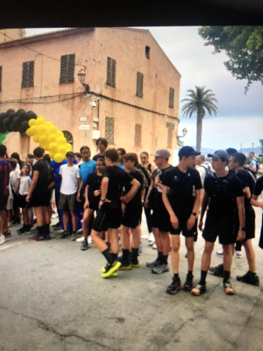 COLLEGE PASCAL PAOLI ILE ROUSSE tweet media