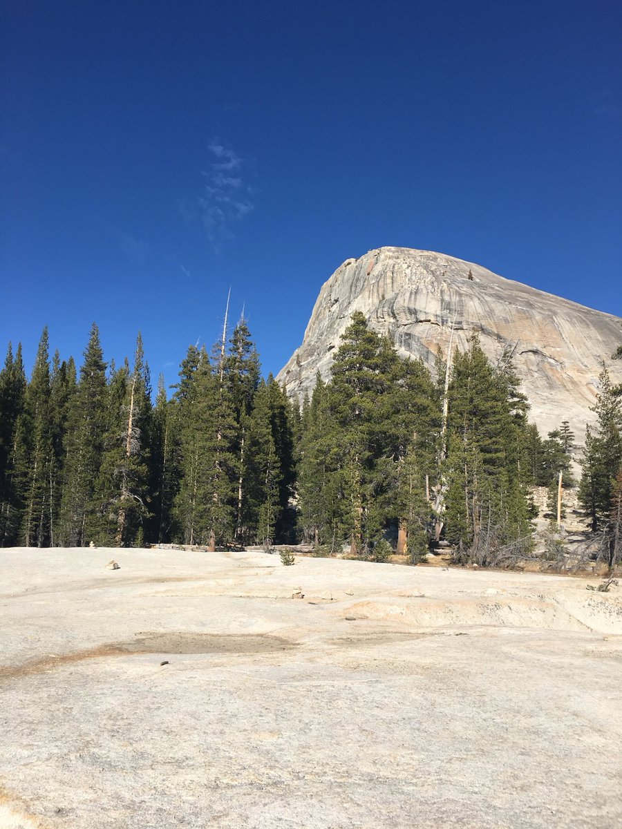 #RockinTuesday Just inside #Yosemite National Park a couple years ago. 🥰