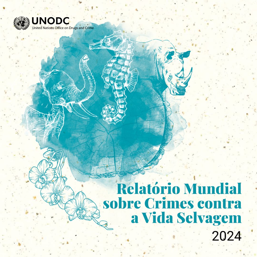 O crime contra a vida selvagem está frequentemente ligado a poderosos grupos do crime organizado e atividades ilegais. Para proteger ecossistemas frágeis como a Amazônia, é necessária uma estratégia para combater o crime organizado: bit.ly/3UpwV2k @unodcprt