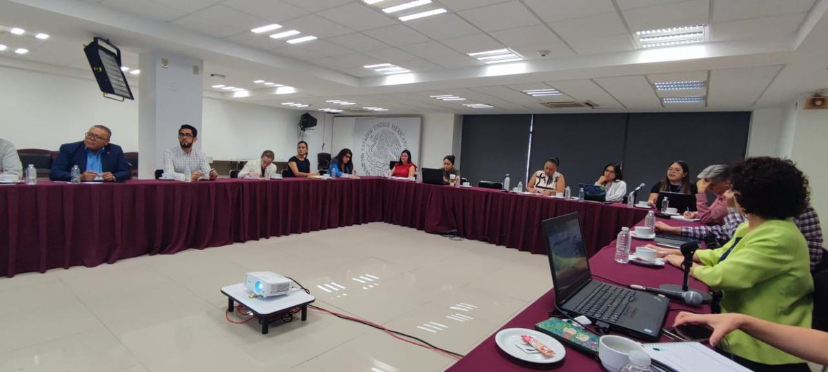 Personal de la #SGCONAPO participó en la Sesión de trabajo extraordinaria del Grupo Interinstitucional sobre Movilidad y Migración Internacional #GIMMI, realizada por la #UPMRIP.