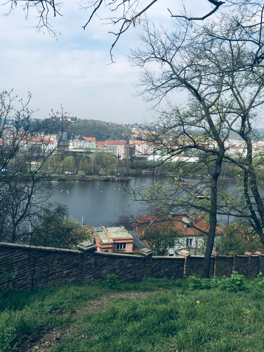 There is nothing like shopping at a market with meats, cheeses, breads, fruits and veggies and then picnicking on a river bank watching the Vltava River flow by.
#Prague 
#homeschoolstudytrip
#familytravel