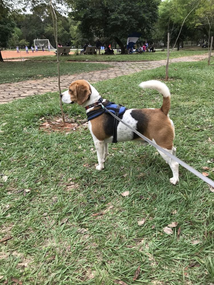 @beaglefacts @TotzkeM Emilio in his way to say to us that enough is enough