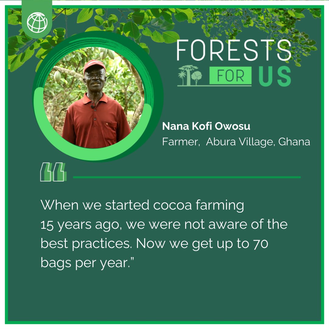 In #Ghana, @WorldBank has supported cocoa farmers in improving their crop and forest management practices. Nana Kofi Owusu, a farmer in Abura Village is one of them: wrld.bg/31aV50REL3T

#LivablePlanet