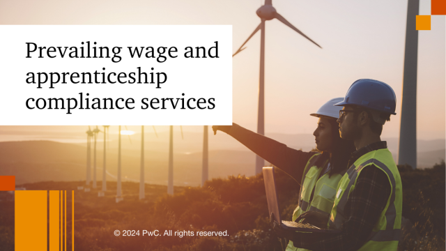 Discover the untapped potential of your clean energy tax incentives with our holistic prevailing wage and apprenticeship (PWA) services. Complying with PWA requirements drives the difference between a 30% and 6% credit. pwc.to/3UJQcLU