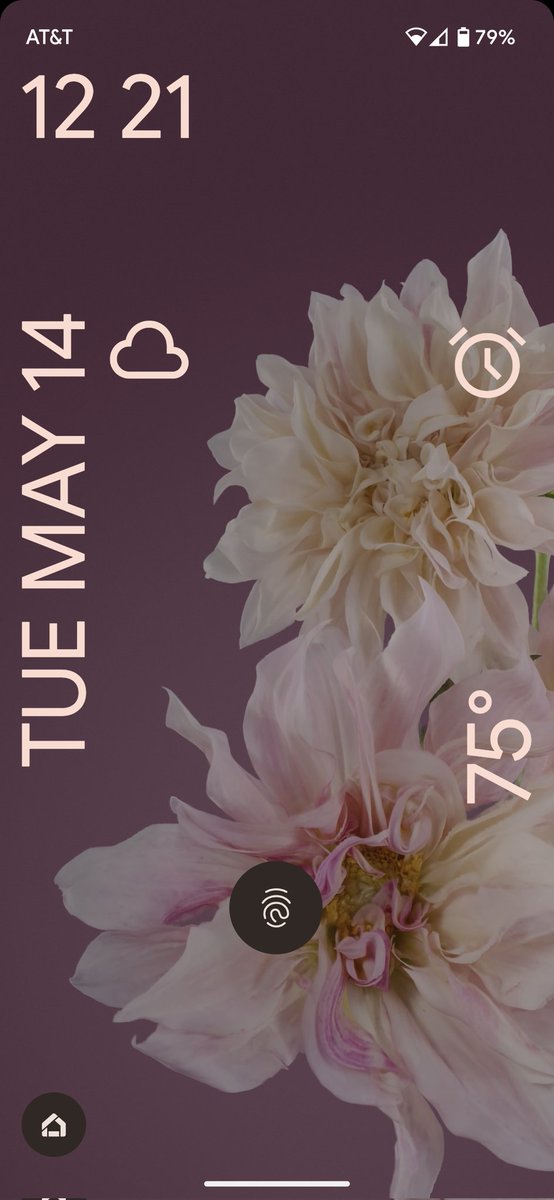 Meagan Graham tweet media