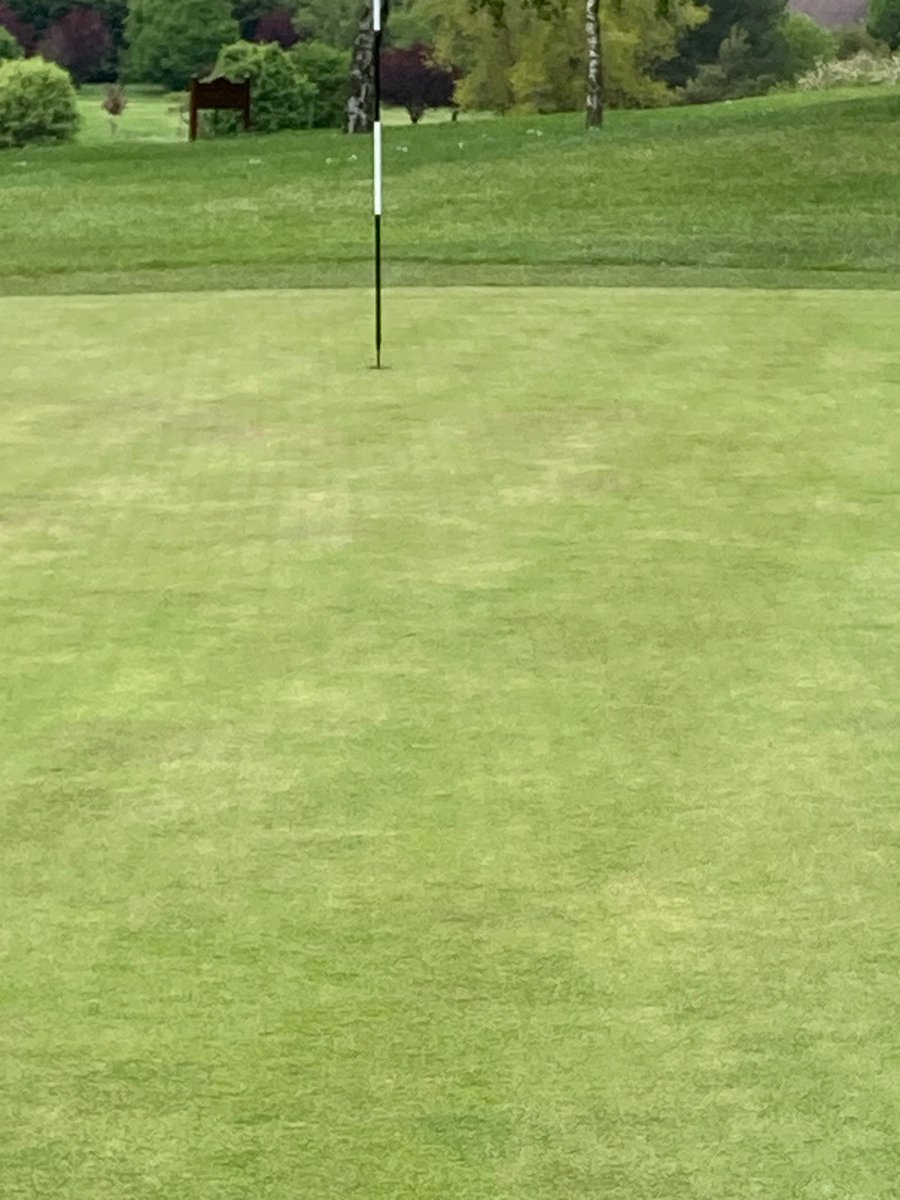 Alex Beesley (@alexbgerminal) on Twitter photo Excellent germination on greens <a href="/LeamingtonGolf/">Leamington&County GC</a> from ForeFront Greens blend of BrownTop Bent and Creeping Bent 007 and Tour Pro (GDE) No1 in BSPB list <a href="/GerminalAmenity/">Germinal Amenity</a> Excellent germination on greens <a href="/LeamingtonGolf/">Leamington&County GC</a> from ForeFront Greens blend of BrownTop Bent and Creeping Bent 007 and Tour Pro (GDE) No1 in BSPB list <a href="/GerminalAmenity/">Germinal Amenity</a>