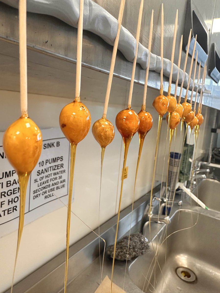 Chocolate Truffle Torte Raspberry Ice cream and Nutella Panna cotta with Chocolate Ice cream.  Couple of the desserts <a href="/SLCek/">South Lanarkshire College</a>  The Study Restaurant <a href="/DevennyClaire/">Claire Devenny</a> <a href="/hvasspastrychef/">Helen Vass</a> <a href="/joannewarwick5/">Joanne Warwick</a>