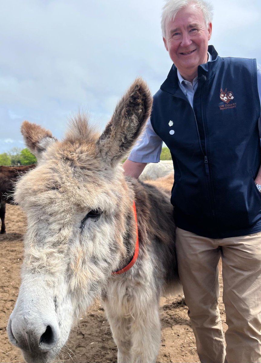 Just had a wonderful visit to the ⁦@DonkeySanctuary⁩ - those donkeys lift your heart ❤️