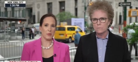 This deranged MSNBC guest on the right had nasty things to say about President Trump while giving her review of his team's legal strategy.  Ramon described it as looking like 'the love child of Katie Couric & Art Garfunkel.'  What is your description?
