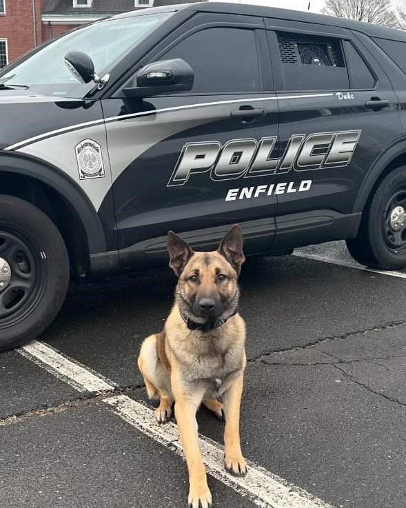 K9 Duke from the Enfield, CT Police Department will soon be protected, thanks to the amazing generosity of John and Molly Shirk from Redmond, WA! Their sponsorship has ensured that K9 Duke will be able to serve our community with the safety and security he deserves.
