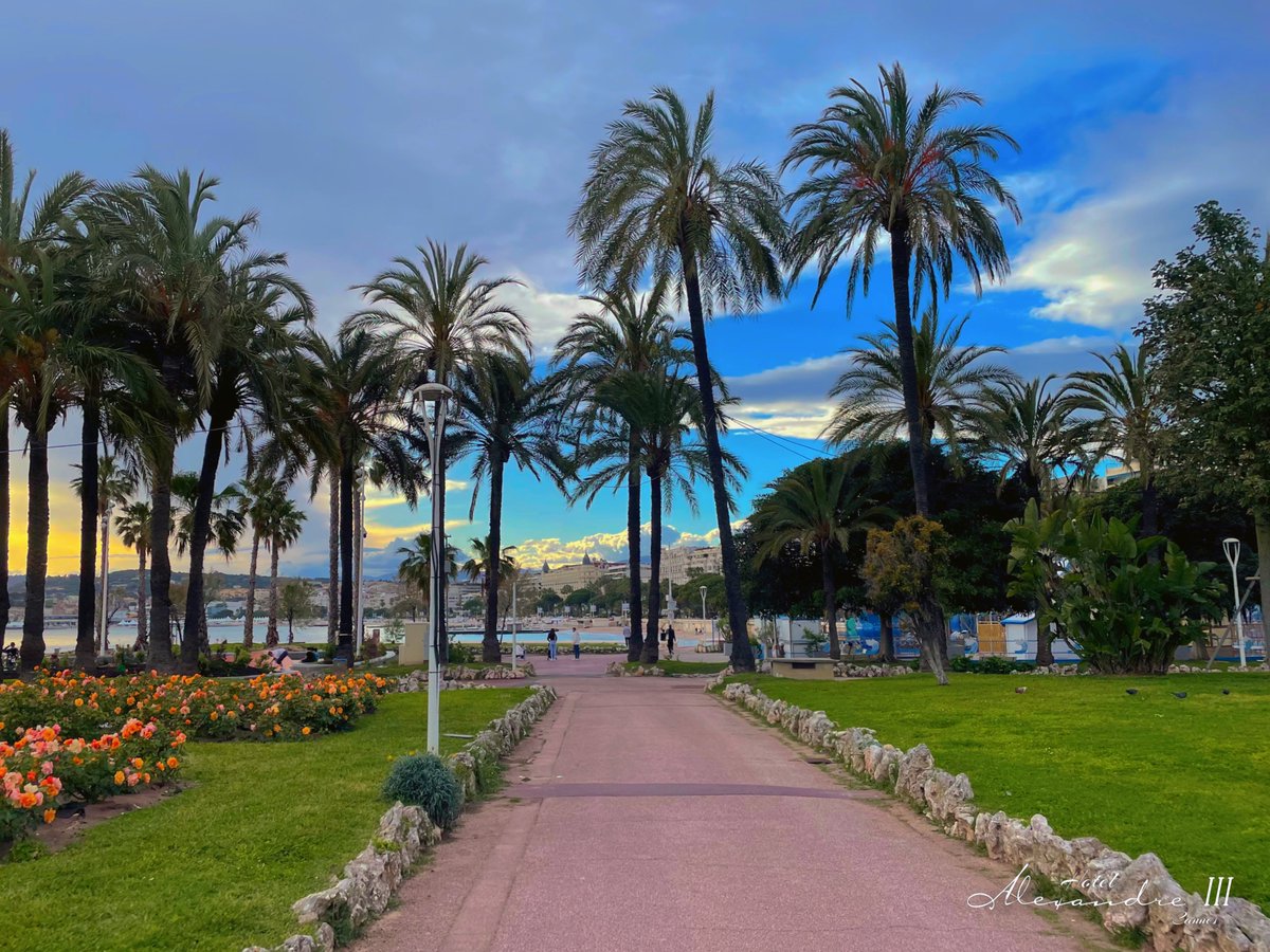 Tapis rouge. #redcarpet #tapisrouge #lesmarches #cotedazurfrance #festivaldecannes #cannes #cannes2024 #onatousbesoindusud #cannesfilmfestival #bienvenueacannes #rendezvousacannes