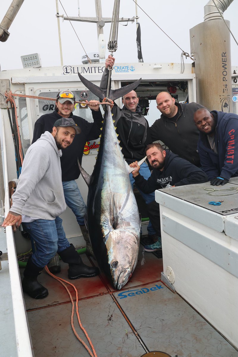 F/V Hard Merchandise (@fvhardmerch) on Twitter photo Bluefin Tuna on the mind! Book a trip with <a href="/captmarciano/">Capt. Dave Marciano</a> on the Hard Merchandise Too or with Capt <a href="/HardMerchJoe/">Joe Marciano</a> & <a href="/HardMerchJay/">Jay Muenzner</a> on the Hard Merchandise! Lock in a date for a fish of a lifetime! <a href="/WickedTuna/">Wicked Tuna</a> #WickedTuna
Angelicafisheries.com Bluefin Tuna on the mind! Book a trip with <a href="/captmarciano/">Capt. Dave Marciano</a> on the Hard Merchandise Too or with Capt <a href="/HardMerchJoe/">Joe Marciano</a> & <a href="/HardMerchJay/">Jay Muenzner</a> on the Hard Merchandise! Lock in a date for a fish of a lifetime! <a href="/WickedTuna/">Wicked Tuna</a> #WickedTuna
Angelicafisheries.com
