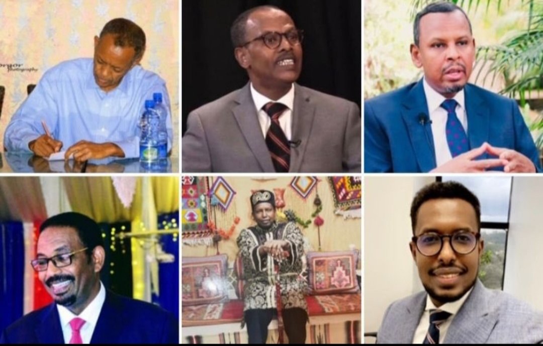 From twitter trolls to Hassan Sheikh Guurguurte's Advisors. Somalia is a bad episode of monty python. Smh!
