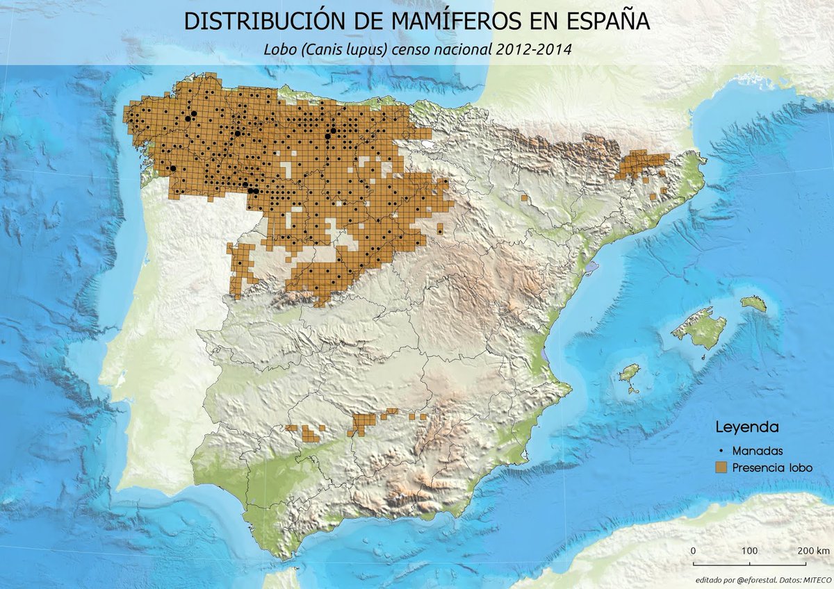 Rafael® tweet media