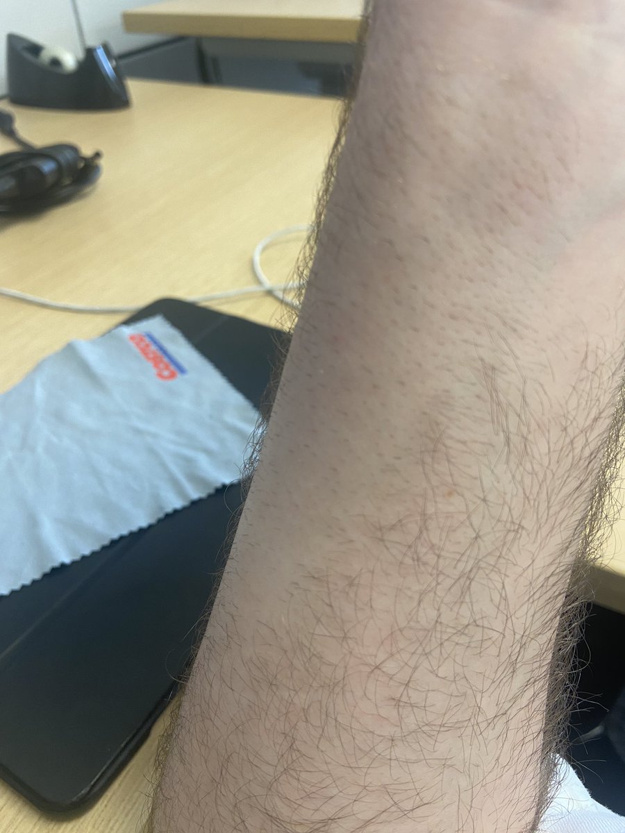 𝙼𝚎𝚑𝚍𝚒 🇩🇿🇨🇦 tweet media