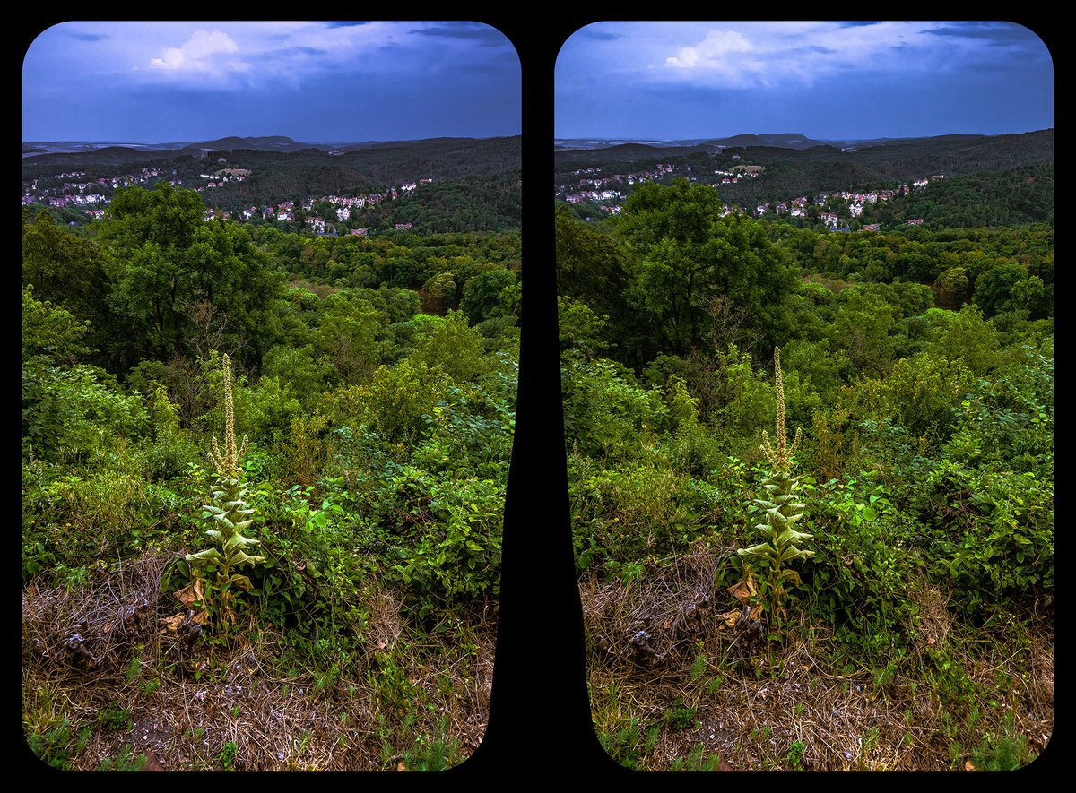 #Wartburg #Eisenach #3D #Stereoscopy #Kreuzblick #Crossview #Stereo3D #Thüringen