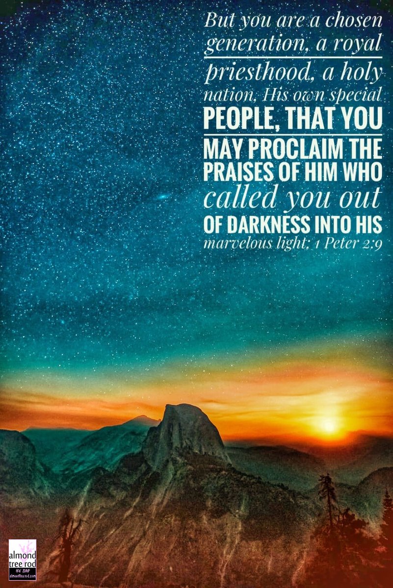 Today's Verse But you are his chosen people, the King’s priests. You are a holy nation, people who belong to God. He chose you to tell about the wonderful things he has done. He brought you out of the darkness of sin into his wonderful light. 1 Peter 2:9 ERV Devotion Dear…