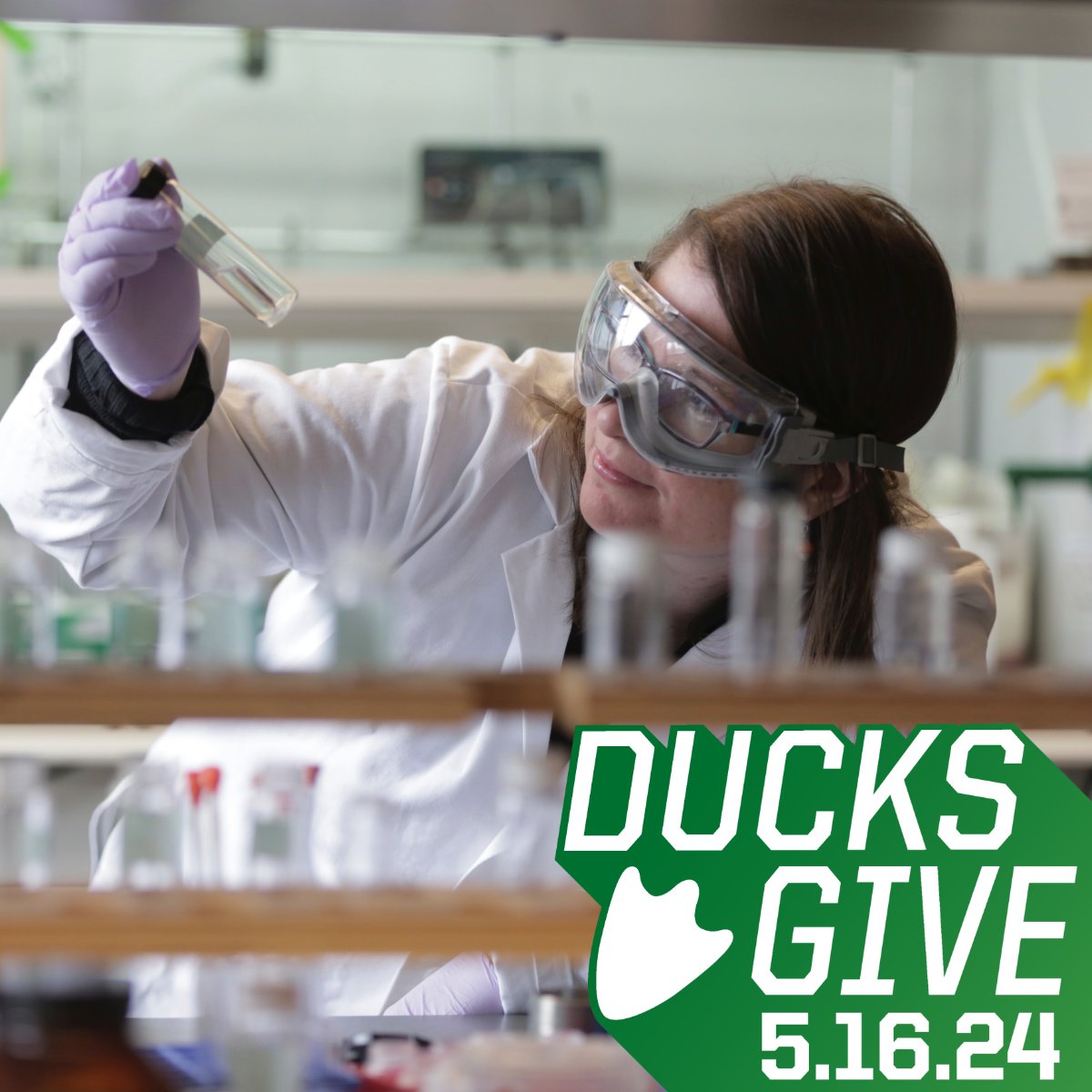 Ducks Give is right around the corner! Help Ducks take flight and support the College of Arts and Sciences! 💚 💛 Your gift will help break financial barriers, foster equal opportunity, and empower career development. Learn more and give your support: bit.ly/3UHjj2D