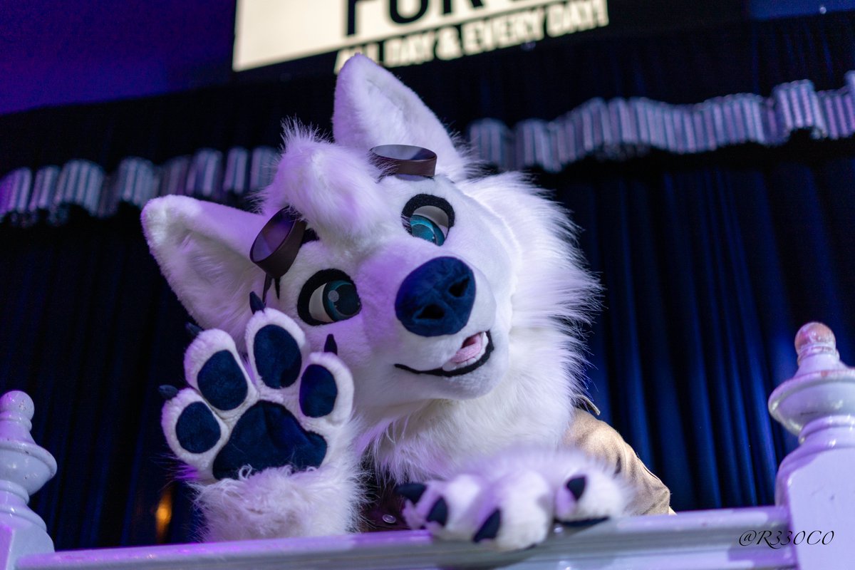 Howlo there! Wanna join me up on the stage? #FursuitEveryday ✂️- @GoFurItstudios 📷 - @R330C0